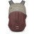 Рюкзак туристичний Osprey Comet 30 sawdust tan/raisin red O/S (009.3645)