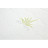 Наматрацник MirSon №1000 Alberto Eco Aloe Vera 180х190 см (2200001491502)