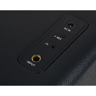 Комбопідсилювач Mooer Hornet 15i Black