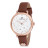Наручний годинник Daniel Klein DK12055-5
