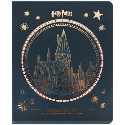 Зошит Kite Harry Potter, 48 аркушів, клітинка (HP25-259)