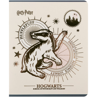 Зошит Kite Harry Potter, 48 аркушів, клітинка (HP25-259)