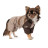 Дощовик для тварин Pet Fashion Mustang ХS (4823082435050)
