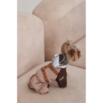 Дощовик для тварин Pet Fashion Mustang ХS (4823082435050)