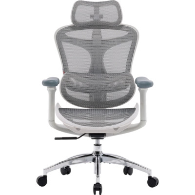 Офісне крісло Sihoo DORO C300L Mesh White (DORO-C300L-A3-102)