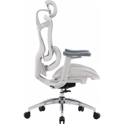 Офісне крісло Sihoo DORO C300L Mesh White (DORO-C300L-A3-102)