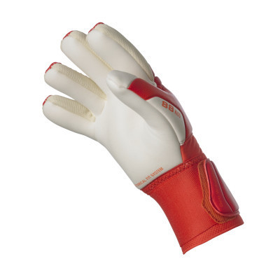 Воротарські рукавиці Select Goalkeeper Gloves 88 Kids v23 602863-694 червоний, білий Діт 5 (5703543316687)