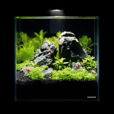 Акваріум Aqualighter набір DAQUARIUM Pico Set 170 мм 5 л (7141)