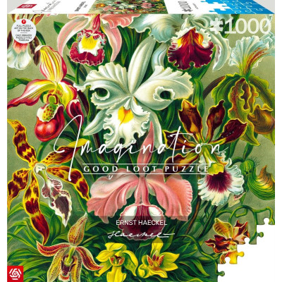 Пазл GoodLoot Imagination: Orchid Ernst Haeckel 1000 ел. (5908305247531)