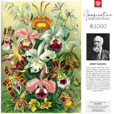 Пазл GoodLoot Imagination: Orchid Ernst Haeckel 1000 ел. (5908305247531)