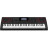 Синтезатор Casio CT-X3000 (222025)