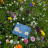 Гаманець Yoshi Y1321 Bee Happy Blue (Y1321 BEE 21)