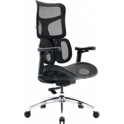 Офісне крісло Sihoo DORO S100 Mesh Black (S100-M301)