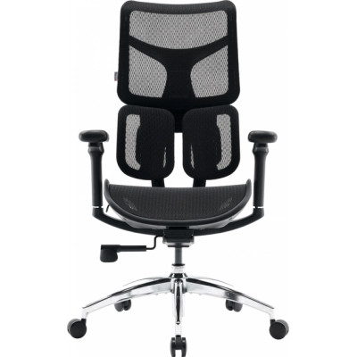 Офісне крісло Sihoo DORO S100 Mesh Black (S100-M301)