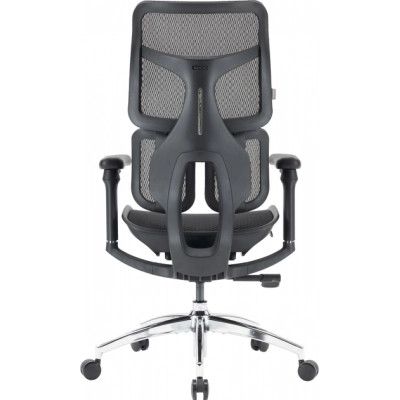 Офісне крісло Sihoo DORO S100 Mesh Black (S100-M301)