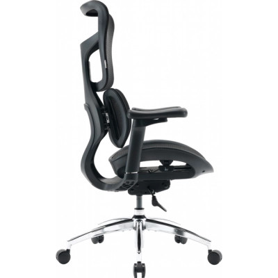 Офісне крісло Sihoo DORO S100 Mesh Black (S100-M301)