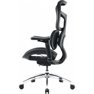Офісне крісло Sihoo DORO S100 Mesh Black (S100-M301)