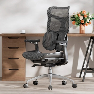 Офісне крісло Sihoo DORO S100 Mesh Black (S100-M301)