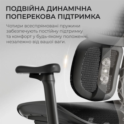 Офісне крісло Sihoo DORO S100 Mesh Black (S100-M301)