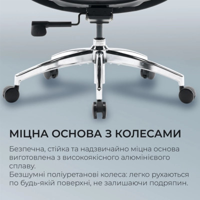 Офісне крісло Sihoo DORO S100 Mesh Black (S100-M301)