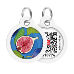 Адресник для тварин WAUDOG Smart ID з QR паспортом &quot;Інжир&quot;, коло 30 мм (230-4053)