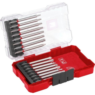 Набір біт Einhell 16шт, PH, PZ, Torx, 80мм, кейс (118973)
