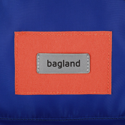 Рюкзак шкільний Bagland Stylish S 8л електрик (0055469) (1119620750)