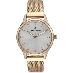 Наручний годинник Daniel Klein DK12188-3