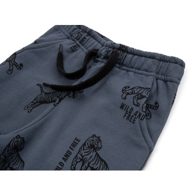 Штани дитячі Breeze спортивні на флісі (16694-104B-gray)