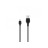 Дата кабель USB 2.0 AM to Lightning 1.0m 2.1A black XO (NB36-L-1-BK)