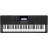 Синтезатор Casio CT-X700 (222059)
