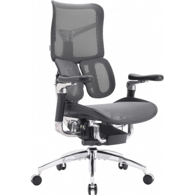 Офісне крісло Sihoo DORO S300 Mesh Dark Grey (S300-M201)
