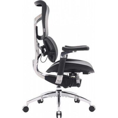 Офісне крісло Sihoo DORO S300 Mesh Dark Grey (S300-M201)