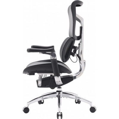 Офісне крісло Sihoo DORO S300 Mesh Dark Grey (S300-M201)