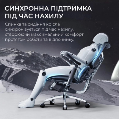 Офісне крісло Sihoo DORO S300 Mesh Dark Grey (S300-M201)