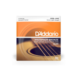 Струни для гітари D'Addario Phosphor Bronze 12-String Extra Light (09-45) (EJ41)