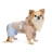 Дощовик для тварин Pet Fashion Tina М бежевий/блакитний (4823082435173)