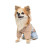 Дощовик для тварин Pet Fashion Tina М бежевий/блакитний (4823082435173)