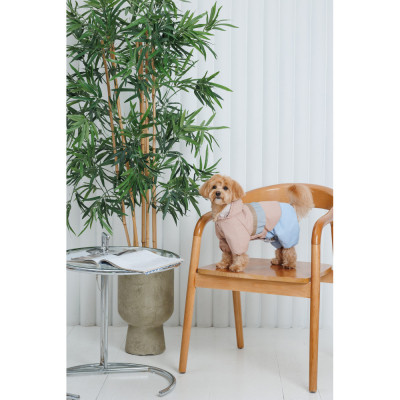 Дощовик для тварин Pet Fashion Tina М бежевий/блакитний (4823082435173)