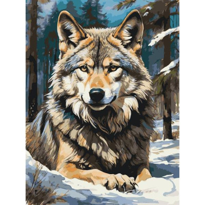 Картина по номерам ArtCraft Вовк у лісі 40х50 см (11575-AC)