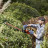 Кущоріз Black&amp;Decker BEHTS501