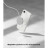 Чохол до мобільного телефона BeCover Space Case MagSafe Apple iPhone 16e Transparent (713884)