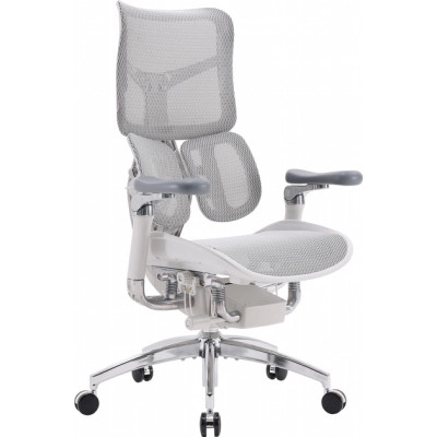 Офісне крісло Sihoo DORO S300 Mesh Light Grey (S300-M202)