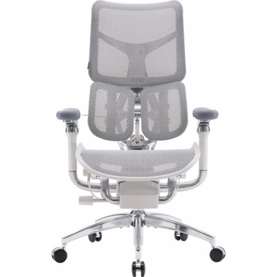 Офісне крісло Sihoo DORO S300 Mesh Light Grey (S300-M202)
