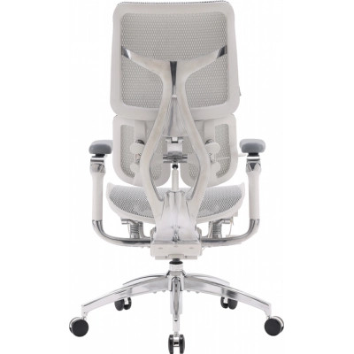 Офісне крісло Sihoo DORO S300 Mesh Light Grey (S300-M202)