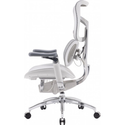 Офісне крісло Sihoo DORO S300 Mesh Light Grey (S300-M202)