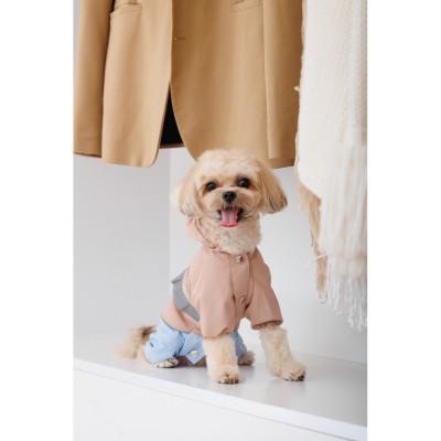 Дощовик для тварин Pet Fashion Tina ХS бежевий/блакитний (4823082435135)