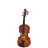 Скрипка Stentor Student I Violin Outfit 1/32 (1400J2)