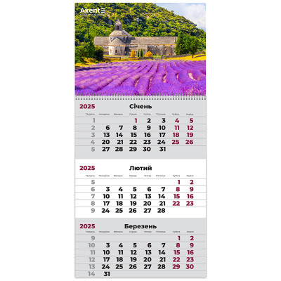 Календар Axent настінний квартальний 2025 рік 1 пр. Provence 3 (8801-25-9-A)