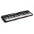 Синтезатор Casio LK-S250 (222030)